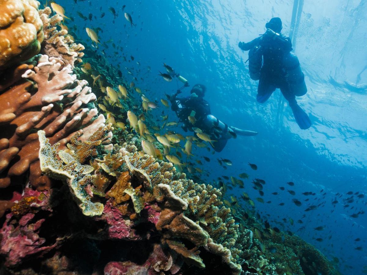 Cebu Seaview Dive Resort Moalboal Eksteriør bilde