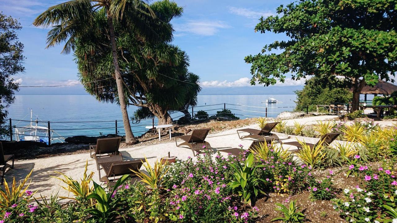 Cebu Seaview Dive Resort Moalboal Eksteriør bilde